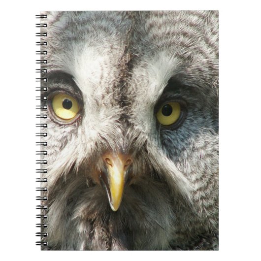 Owl Notebok Notizblock (Vorderseite)