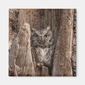 Owl Owl 2" Magnet (Vorne)