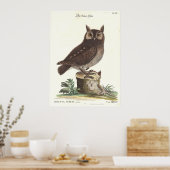 Owl Owl Catesby Seligman Reproduction Poster (Küche)