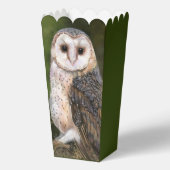 Owl Popcorn Boxen Geschenkschachtel (Rückseite)