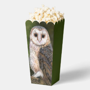 Owl Popcorn Boxen Geschenkschachtel