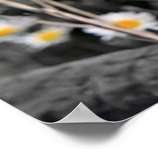 Owl Portrait Poster (Ecke)