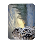Owl-Portrait über den Winterwaldhintergrund Magnet (Vertikal)