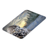 Owl-Portrait über den Winterwaldhintergrund Magnet (Linke Seite)