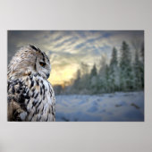 Owl-Portrait über den Winterwaldhintergrund Poster (Vorne)