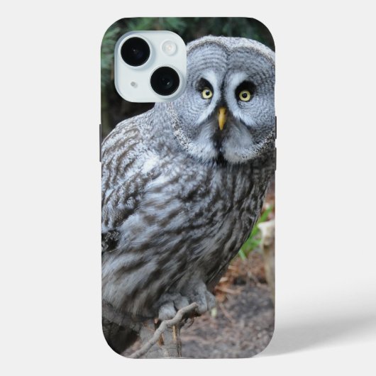 Owl Portraitfotografie Case-Mate iPhone Hülle (Rückseite)