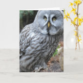 Owl Portraitfotografie Karte (Gelbe Blume)