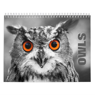 Owl Portraits 2022 Wall Calendar Kalender