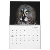 Owl Portraits Wall Calendar Kalender (Mär 2026)