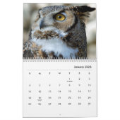 Owl Portraits Wall Calendar Kalender (Jan 2026)