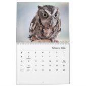 Owl Portraits Wall Calendar Kalender (Feb 2026)