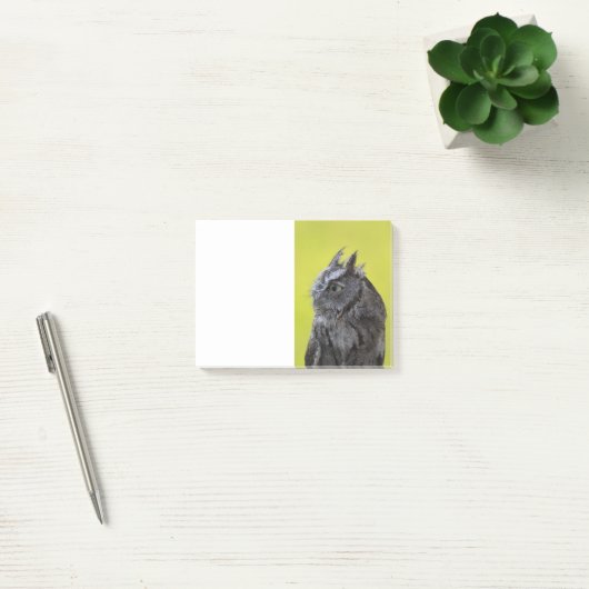 Owl Post - Anmerkungen Post-it Klebezettel (Büro)