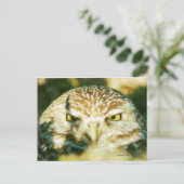 OWL POSTCARD POSTKARTE (Stehend Vorderseite)