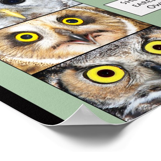 Owl Poster (Ecke)