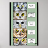 Owl Poster (Vorne)