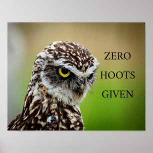 Owl Poster