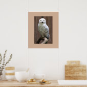 Owl Poster (Küche)