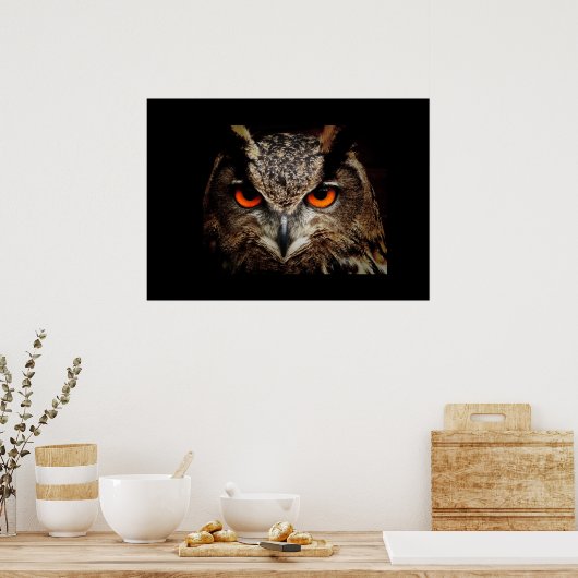 Owl Poster (Küche)