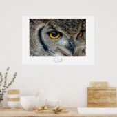 Owl Poster Design (Küche)