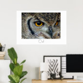Owl Poster Design (Heimbüro)