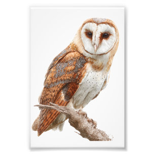 Owl Premium Satin Fotopapier Fotovergrößerung Fotodruck