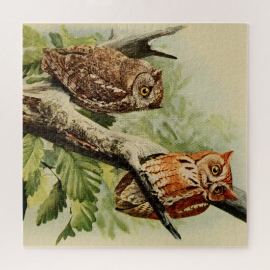 Owl Print Puzzle (Horizontal)