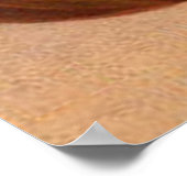 Owl Pumpkin Kürbislaterne Poster (Ecke)