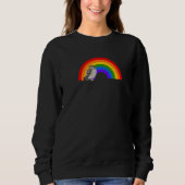 Owl Rainbow Bird Bird Birdwatcher Animal Biologist Sweatshirt (Vorderseite)