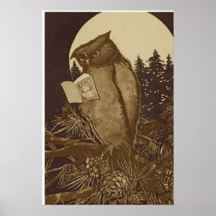 Owl Reading a book of Moonlight Poster