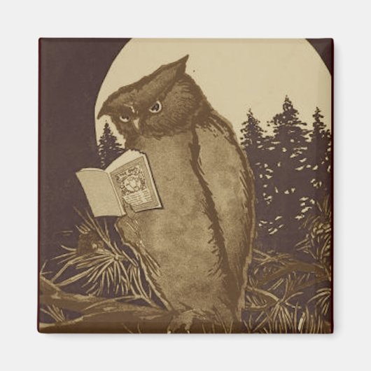 Owl Reading by Moonlight Magnet (Vorne)