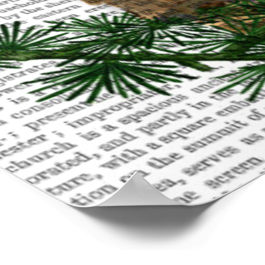 Owl Reading on Branch Poster (Ecke)