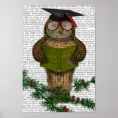 Owl Reading on Branch Poster (Vorne)