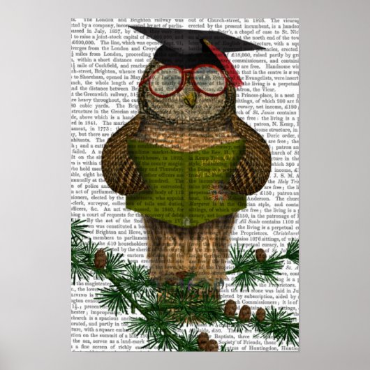 Owl Reading on Branch Poster (Vorne)