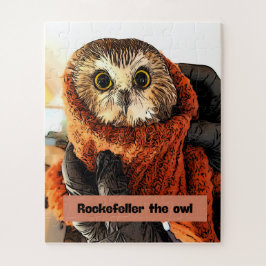 Owl, Rockefeller, Puzzle