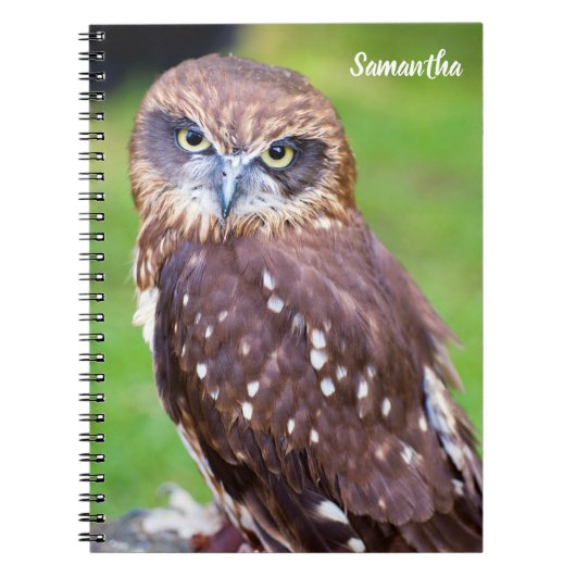 Owl Spirale Notebook Notizblock (Vorderseite)