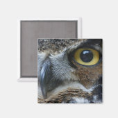 Owl Square Magnet (Vorderseite/Rückseite)