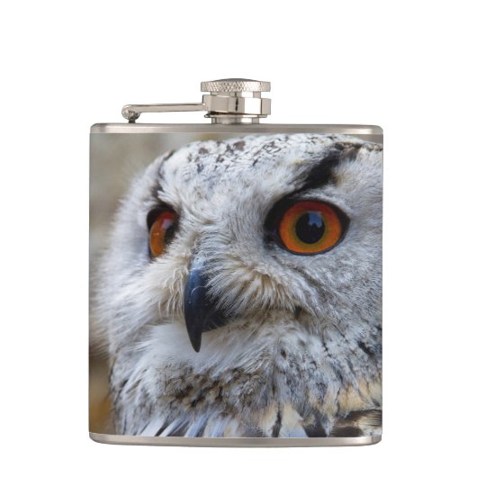 Owl Stainless-Stahlflasche Flachmann (Vorderseite)