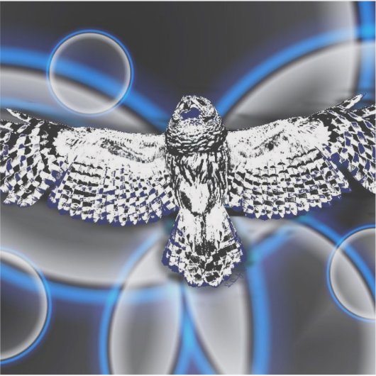 Owl Sticker (Vorderseite)