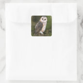 Owl Sticker-Geschenk Quadratischer Aufkleber (Tasche)