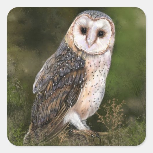 Owl Sticker-Geschenk Quadratischer Aufkleber (Vorderseite)
