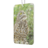 Owl sucht nach Luftfreischöfe Autolufterfrischer (Links)