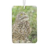 Owl sucht nach Luftfreischöfe Autolufterfrischer (Rückseite)