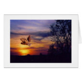 Owl Sunset Foto (Vorderseite (Horizontal))