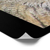 Owl Uil Poster (Ecke)