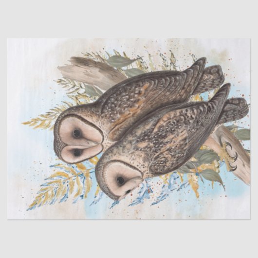 Owl Wasserfarbe Kunst Seidenpapier (Vorderseite)
