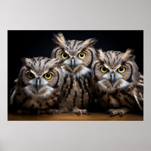 Owl Wild Animal Portrait Nature Beauty Poster (Vorne)