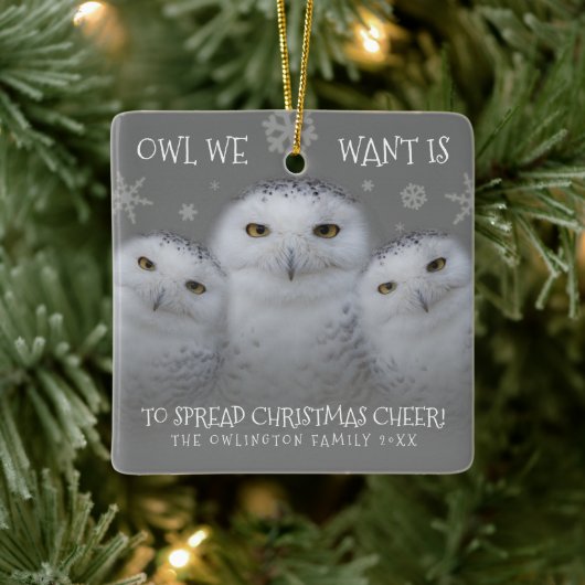 Owl Wir Wollte Weihnachts-Cheer Snowy Owls Keramikornament (Baum)