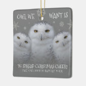 Owl Wir Wollte Weihnachts-Cheer Snowy Owls Keramikornament (Links)