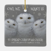 Owl Wir Wollte Weihnachts-Cheer Snowy Owls Keramikornament (Rückseite)