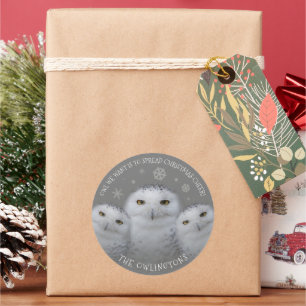 Owl Wir Wollte Weihnachts-Cheer Snowy Owls Runder Aufkleber